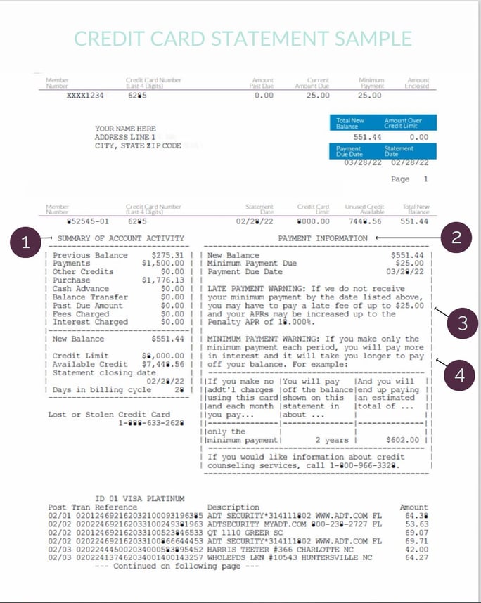 _credit card statement sample Skyla