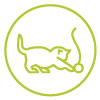 2015---Fat-Cat