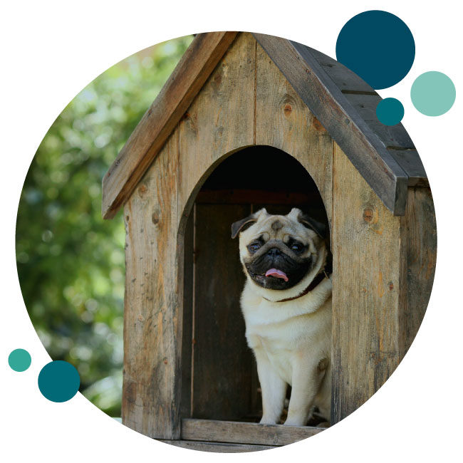 Home-Insurance-Circle