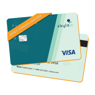 Platinum_Card Imagery