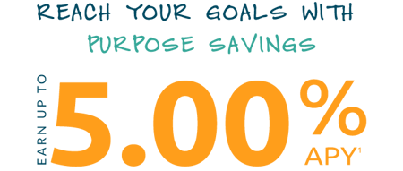 5%-Purpose-Savings